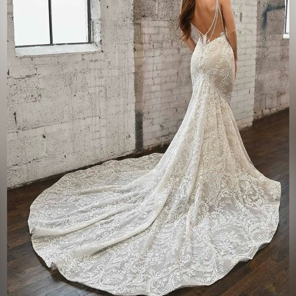 Martina Liana Wedding Dress with Train - Picture 2 of 12